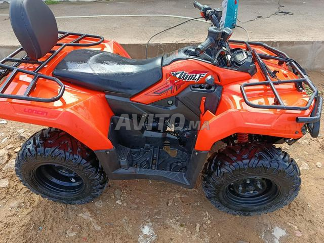 كواد إكس وولف 2025 - 2