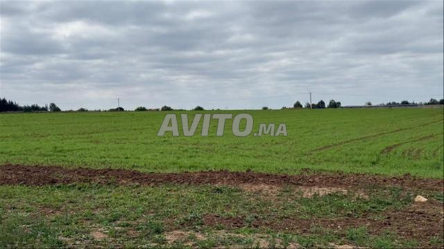 Terrains enregistrés à Chottia (pour habitation et agriculture) - 2