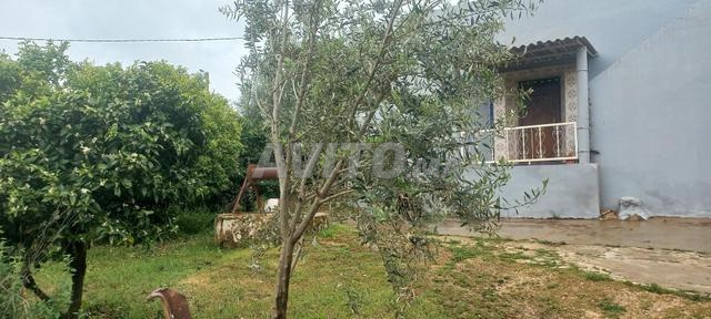 مزرعة مع منزل على الطريق - 2