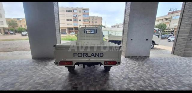 Dongfeng Forland - 2