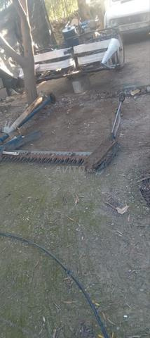 Remorque avec un âne italien - 2