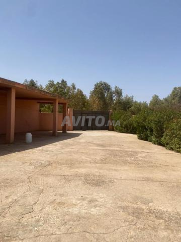 مزرعة 4 هكتار للبيع - 2