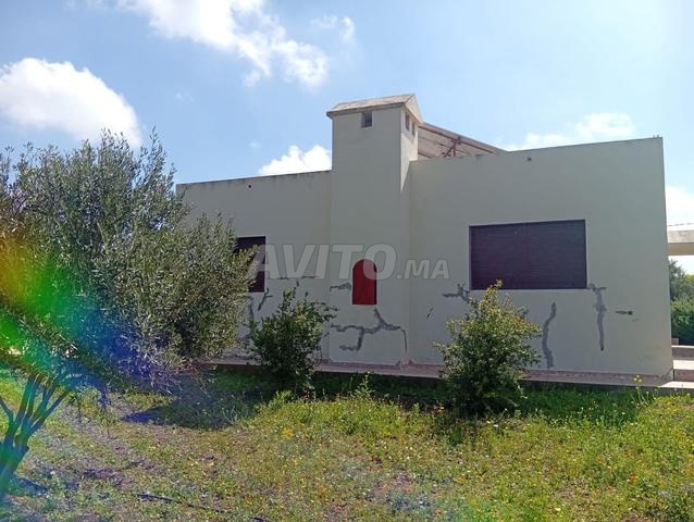 مزرعة للبيع – نواحي ثلاثاء لولاد (مريزك) - 2