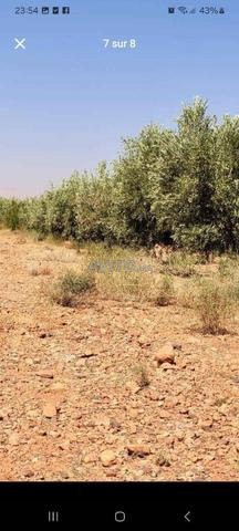 Errachidia Route Kelmima - 2