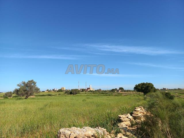 سيدي إسحاق - 2