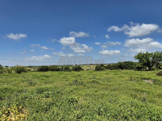 Terrain à vendre - 2
