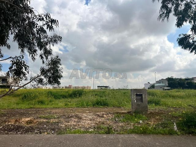 قطع أرضية ابتداء من 300 متر مربع ببوسكورة - 2