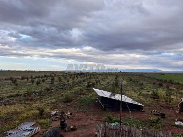 Excellente terre agricole à vendre, enregistrée - 2