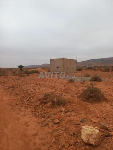 Terrain agricole 6H dans la région de Tiznit - 2