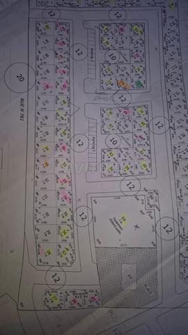 Terrain commercial à vendre quartier Farah - 2