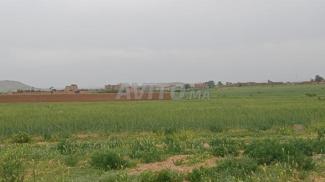 للبيع – أرض استثمارية - 2