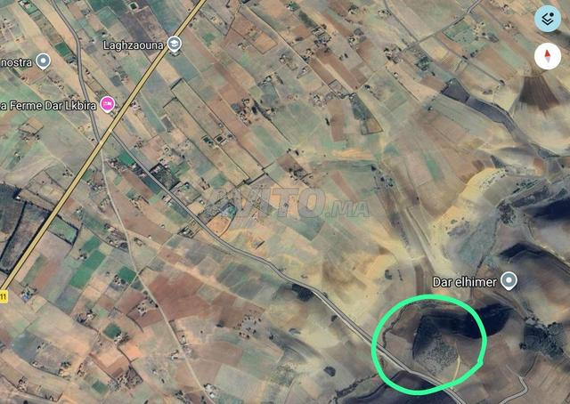 Terrain titré 3 Hectares - 2