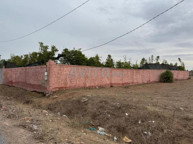 Terrain villa 1000 m2 Rose Marie - 2