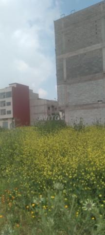 Terrain commercial complexe Khayr Chouka - 2