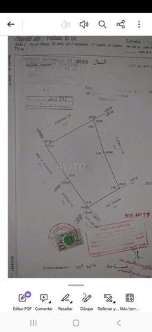 Terrain agricole immatriculé à vendre, superficie 1030 m².