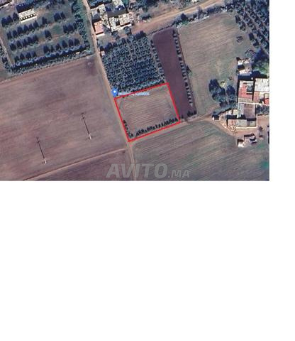 أرض فضاء سند ملكية