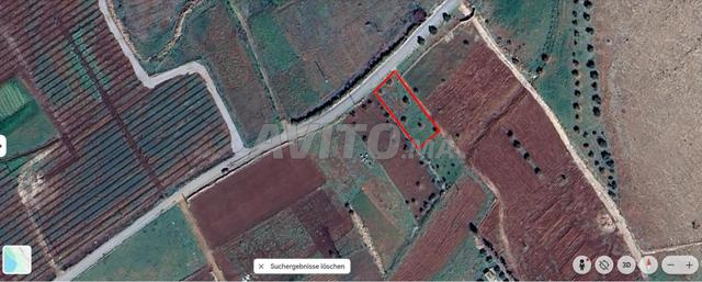 أرض بمساحة 329 متر مربع - 2