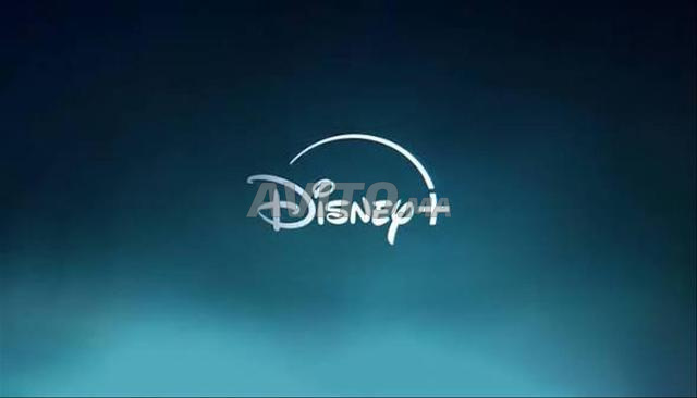 Disney plus 12 mois