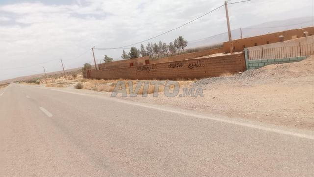 Poulailler à El Qassabi route principale Missour - 2