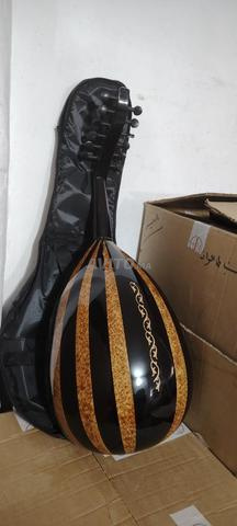 Oud professionnel gamme hotte - 2