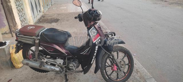 Moto Bikan 2016 petite plaque 49cc embrayage - 2