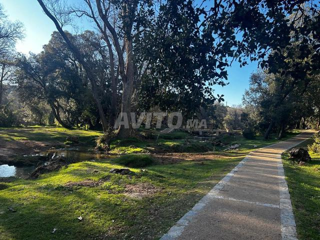 كهف أصيل وقريب من إفران 🌲