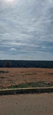 Lot de villa 4 façades - 2