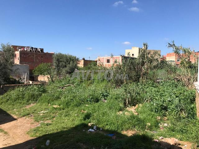 Terrain résidentiel à vendre à Douar Chergui Aouray - 2