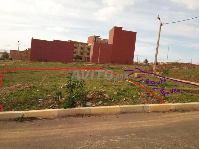 Route Ouartas Berkane - 2