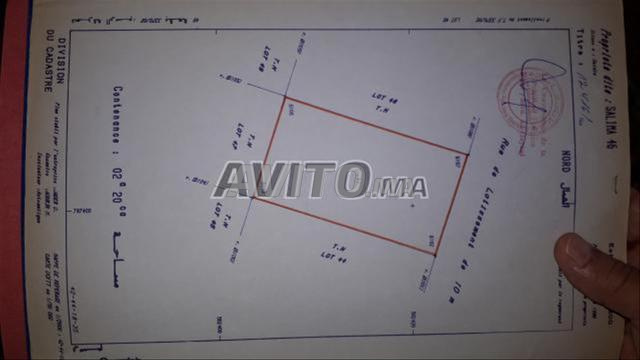 Terrain 220 zone villa centre Saidia