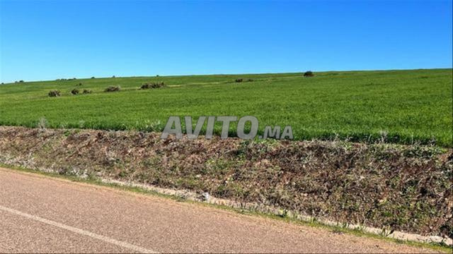 أراضٍ محفظة ببير جديد للسكن والبناء والاستثمار - 2