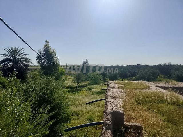 Terrain titré à vendre route sidi rhal - 2