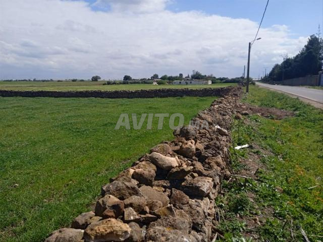 Héritiers vendent la totalité des deux TF. - 2