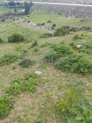 Terrain à Aouama Azib Abequioui - 2