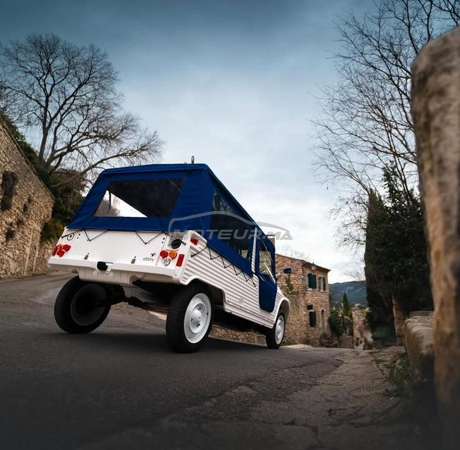 voiture electrique de plage