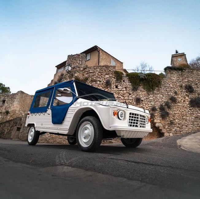 voiture electrique de plage