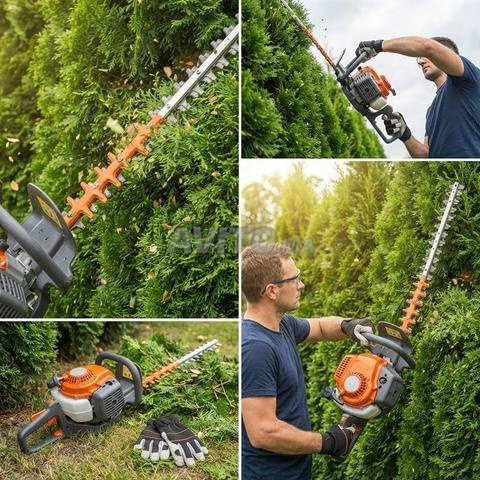 Location Taille-haie Thermique Professionnel - 2