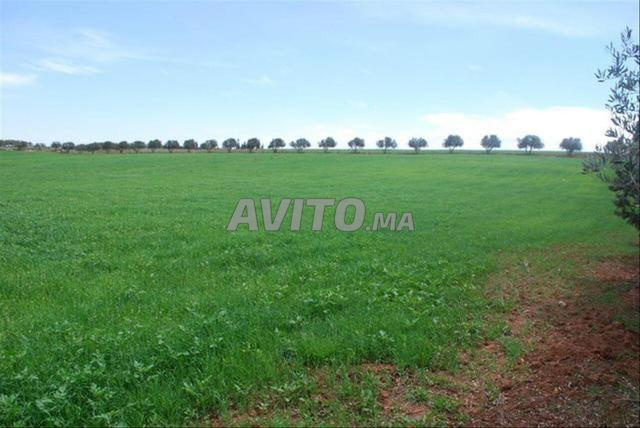 Vente de terrains & fermes titrés – Bir Jdid - 2