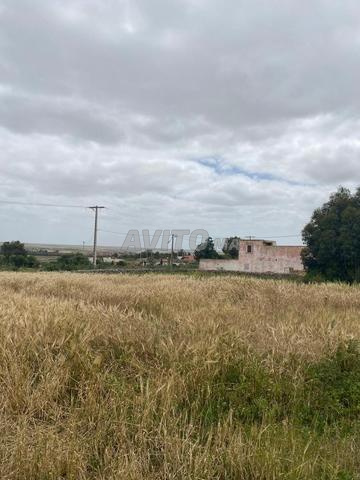 Chauffage Ould Brahim - 2