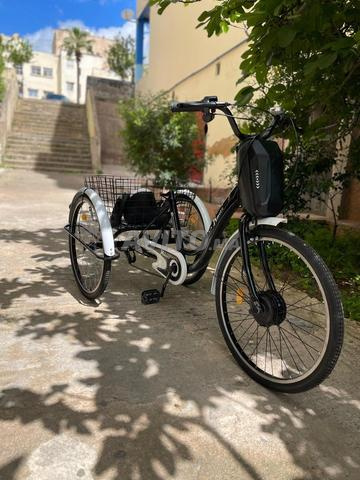 Vélo électrique à trois roues - 2