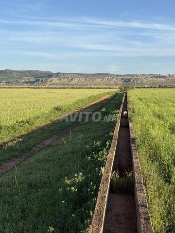 3 HECTARES A VENDRE - 2