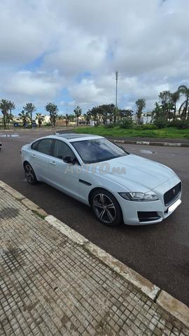 جاكوار XF - 2020 - 2