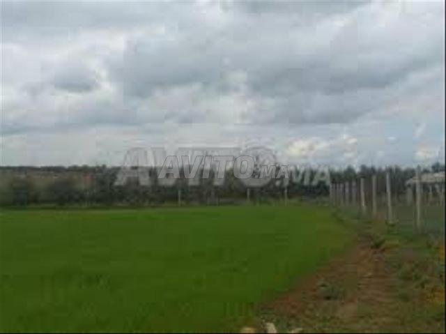 بيع أراضي – سيدي رحال، على شاطئ البحر - 2