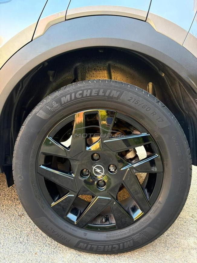 oppel mokka