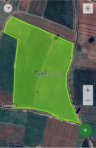 Environs de la nouvelle ville d'Azemmour - 2