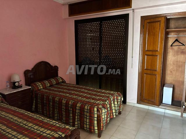 الأسد 🦁 الأسد انصاف - 2