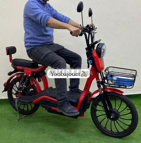 Scooter électrique ZI YOU FENG (800W – 48V) - 2