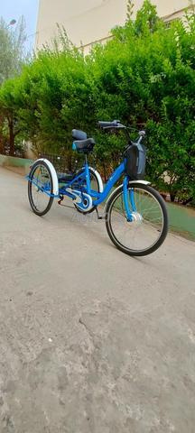 Vélo électrique tricycle - 2