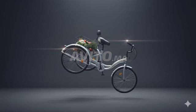 Vélo à trois roues - 2