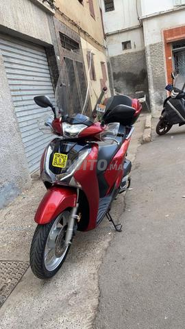 SH Honda Smart 150 Regl